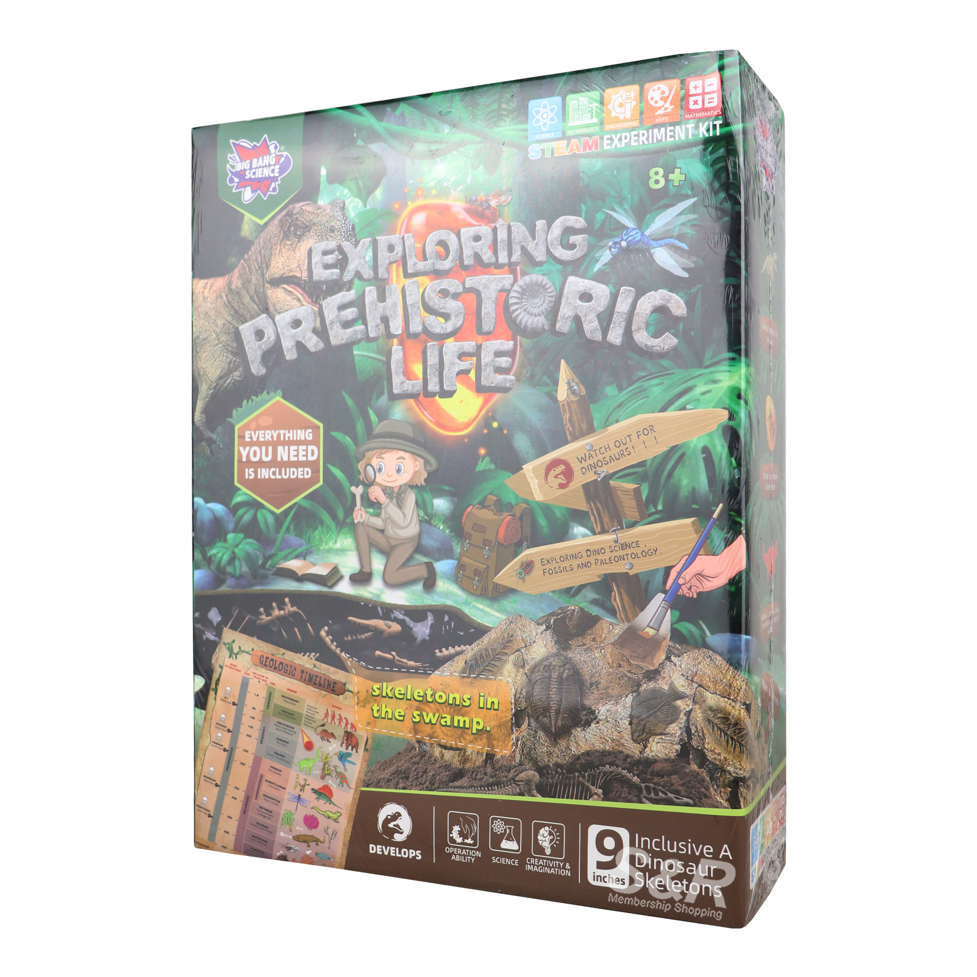 Big Bang Science Exploring Prehistoric Life Big Bang Science Exploring Prehistoric Life